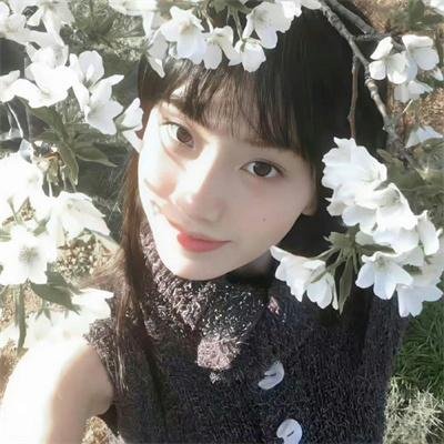 小鱼海报